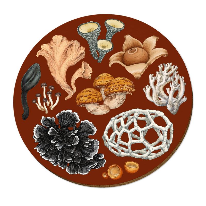 Tanya Wolfkamp Placemats - Fungi