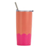 Smoothie Tumbler with Straw