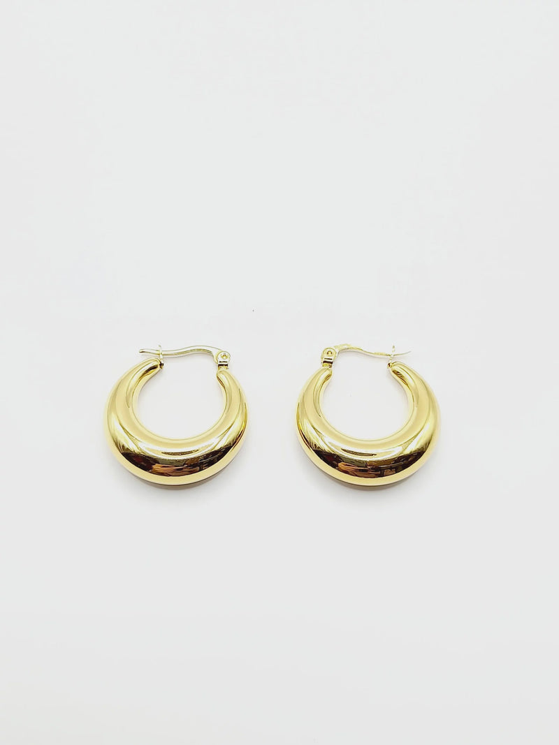 Gold Crescent Moon Earrings