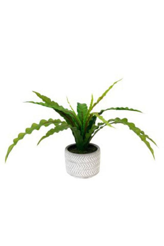 Potted Fern in Chevron Pot - faux