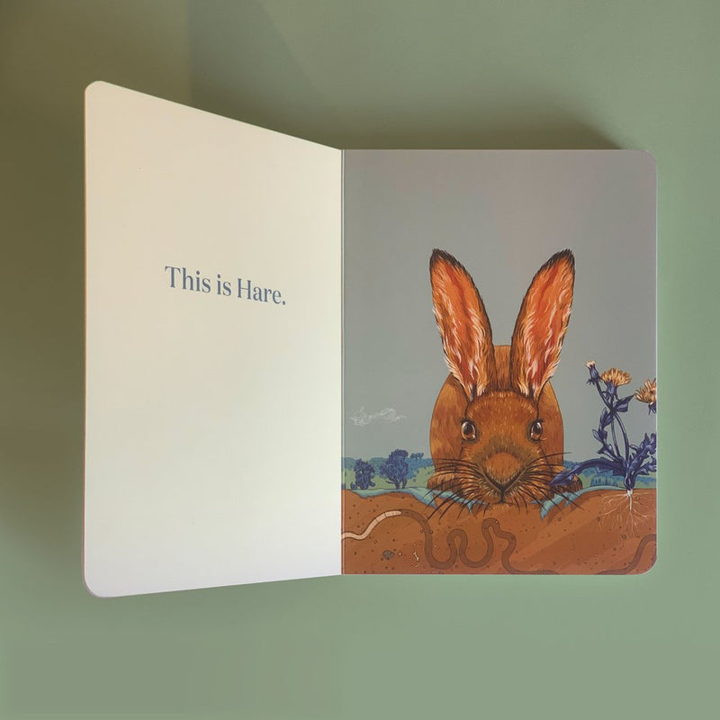 Here is Hare - Board Book