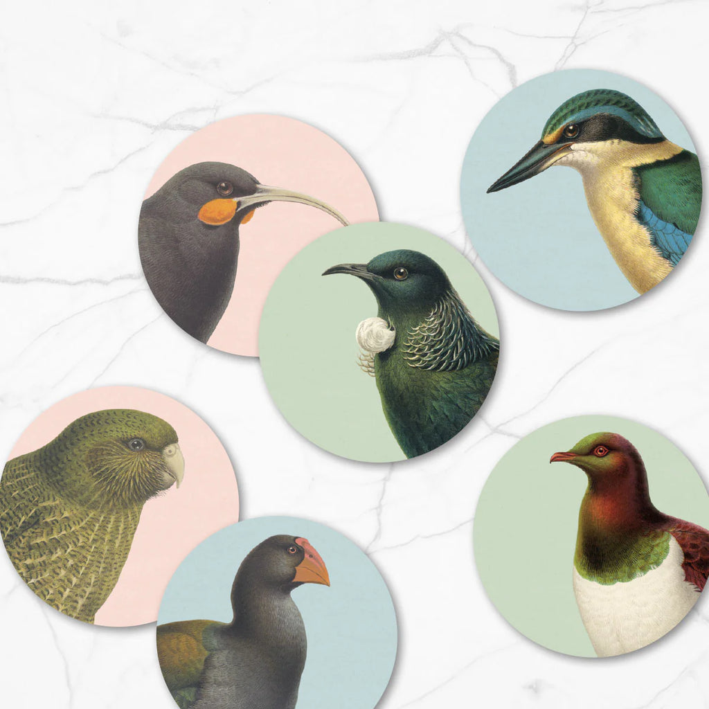 New Zealand Native Birds - Box of 6 Placemats