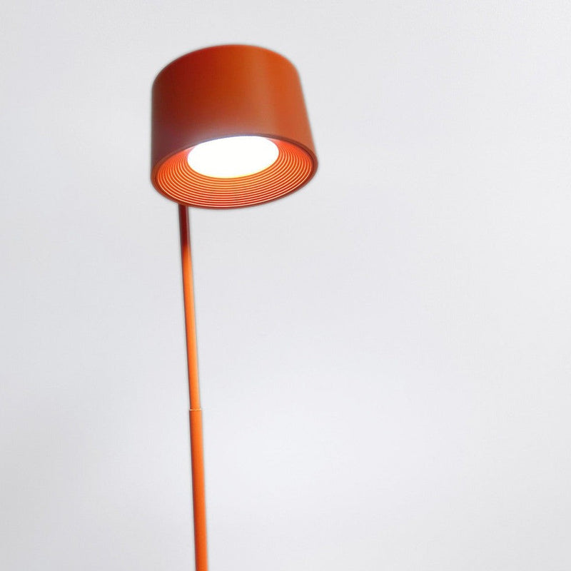 LED Table Lamp