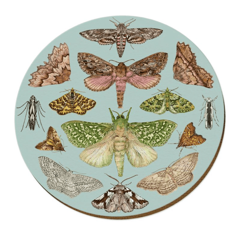 Tanya Wolfkamp Placemat - NZ Moths