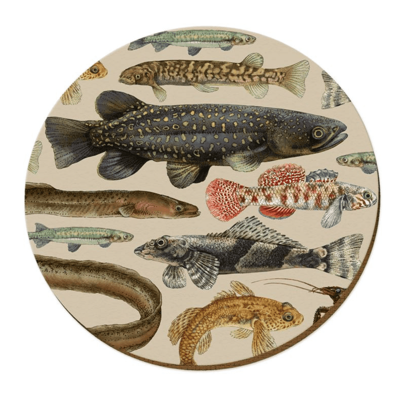 Tanya Wolfkamp Placemat - Freshwater Fish