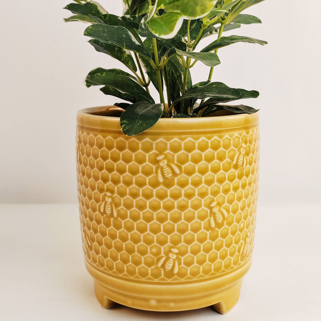 Maeve Beehive Honeycomb Planter