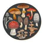 Tanya Wolfkamp Placemats - Fungi