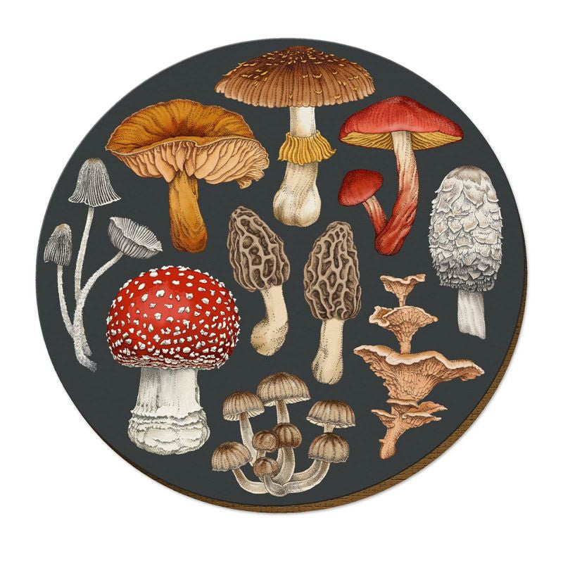 Tanya Wolfkamp Placemats - Fungi