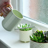 Indoor Watering Cans