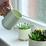 Indoor Watering Cans