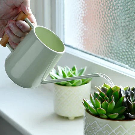 Indoor Watering Cans