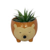 Hedgehog Planter