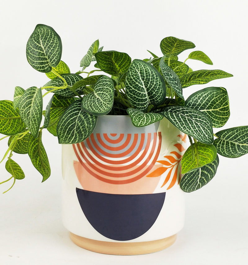 Quinn Abstract Planter - Medium